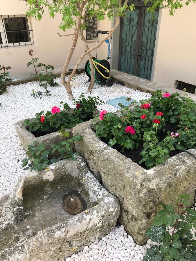 Giardini 82 B&B Гравина ин Пулия Екстериор снимка